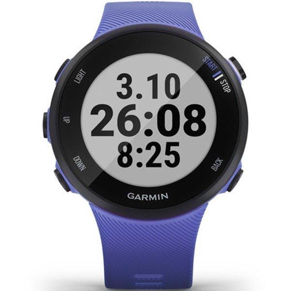 Годинник Garmin Forerunner 45 Small Iris 010-02156-11