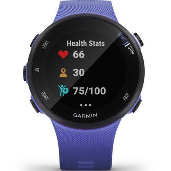 Годинник Garmin Forerunner 45 Small Iris 010-02156-11