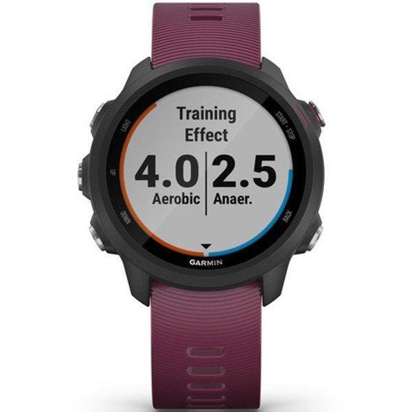 Годинник Garmin Forerunner 245 Black-Berry 010-02120-11