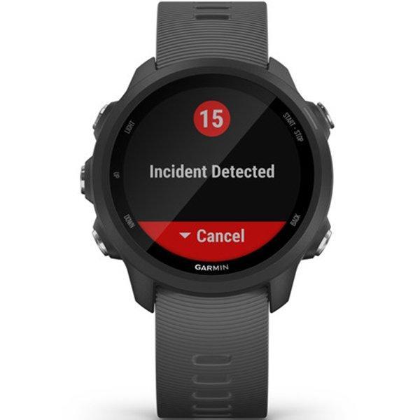 Годинник Garmin Forerunner 245 Black-Slate 010-02120-10
