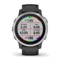 Спортивний годинник Garmin Fenix 6S Silver with Black Band 010-02159-01