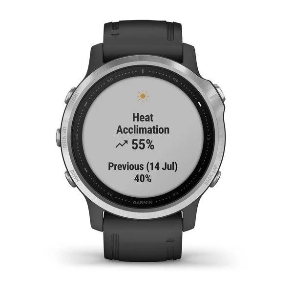 Спортивний годинник Garmin Fenix 6S Silver with Black Band 010-02159-01