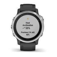 Спортивний годинник Garmin Fenix 6S Silver with Black Band 010-02159-01