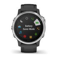 Спортивний годинник Garmin Fenix 6S Silver with Black Band 010-02159-01