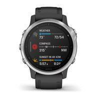 Спортивний годинник Garmin Fenix 6S Silver with Black Band 010-02159-01