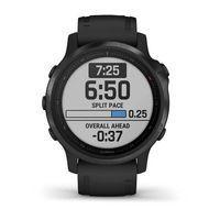 Спортивний годинник Garmin Fenix 6S Pro Black with Black Band 010-02159-14