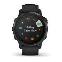 Спортивний годинник Garmin Fenix 6S Pro Black with Black Band 010-02159-14