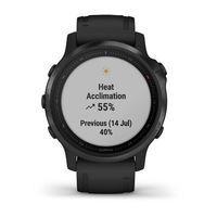 Спортивний годинник Garmin Fenix 6S Pro Black with Black Band 010-02159-14