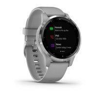 Фітнес годинник Garmin vivoactive 4S Powder Gray-Silver 010-02172-03