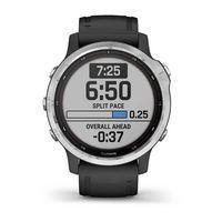 Спортивний годинник Garmin Fenix 6S Solar Silver Black Band 010-02409-00
