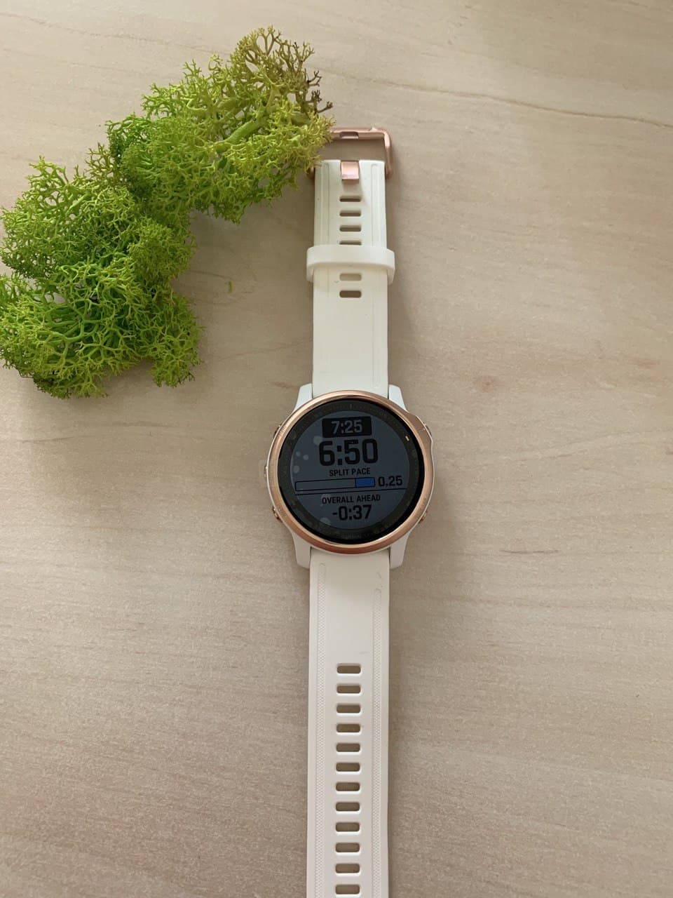 Спортивний годинник Garmin Fenix 6S Pro Rose Gold-tone with White Band 010-02159-11
