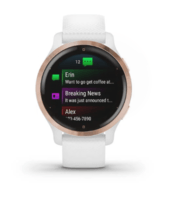 Спортивний годинник Garmin Venu 2S Rose Gold Bezel with White Case and Silicone Band 010-02429-13