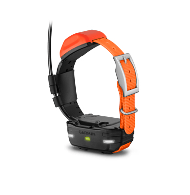 GPS-трекер для собак Garmin Alpha 100 з нашийником T5 010-01041-52