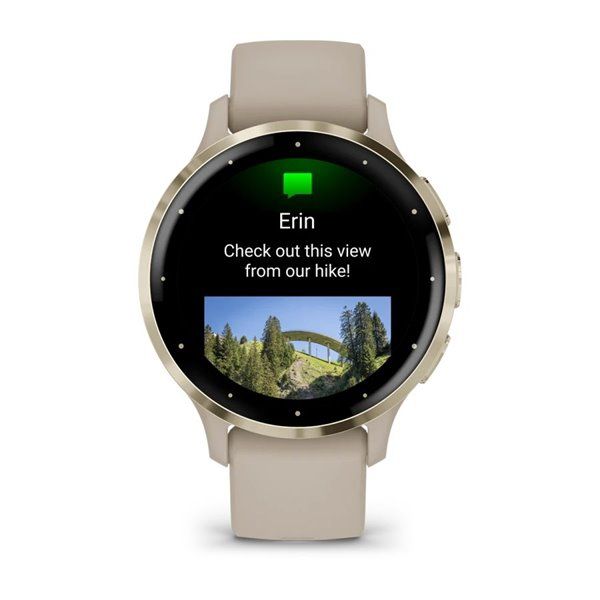 Спортивний годинник Garmin Venu 3S French Gray Soft Gold з силіконовим ремінцем 010-02785-02 