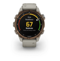 Спортивний годинник Garmin Descent Mk3i (43мм) Bronze PVD Titanium with French Gray з силіконовим ремінцем 010-02753-14