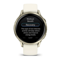 Спортивний годинник Garmin Venu 4 41мм Lunar Gold із силіконовим ремінцем 010-03013-00