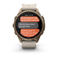 Спортивний годинник Garmin Fenix 9 Pro Amoled inReach 43 мм Autumn Gold Titanium із бежевим шкіряним ремінцем 010-04335-41